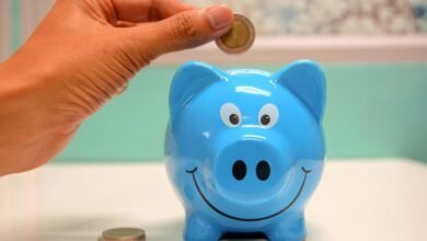 hsbc large mid fund