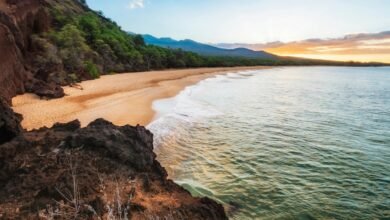 mahi manu business insights