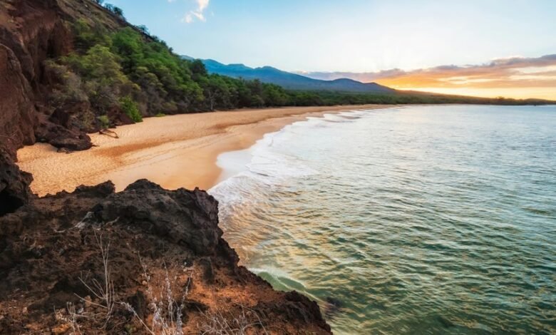 mahi manu business insights