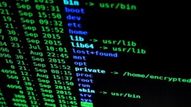 mutf in hsbc midc directory