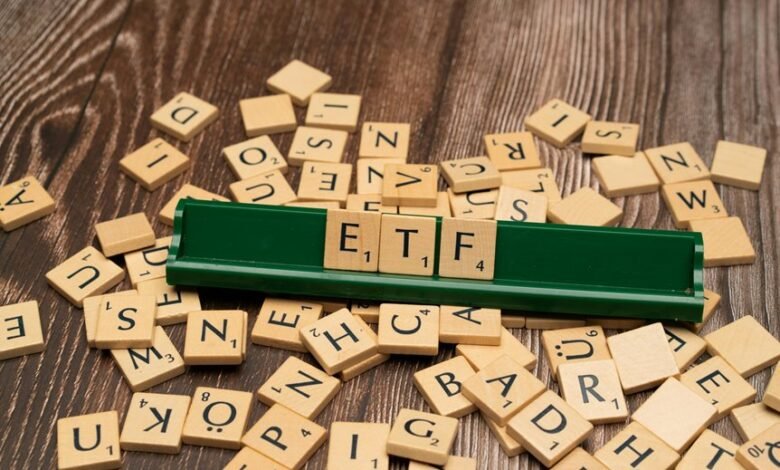 edel mid cap fund