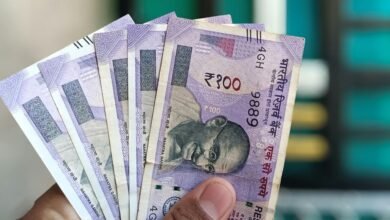 nip indian value update