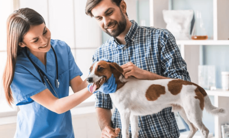 Is Mitral Valve Repair the Right Choice for Your Dog’s Heart Conditions?
