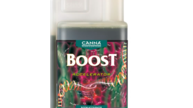 Unlock the True Potential of Your Plants with Canna Boost Accelerator