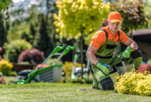 How a Landscaping Company Maximizes Your Garden's Lifespan