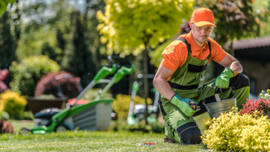 How a Landscaping Company Maximizes Your Garden's Lifespan