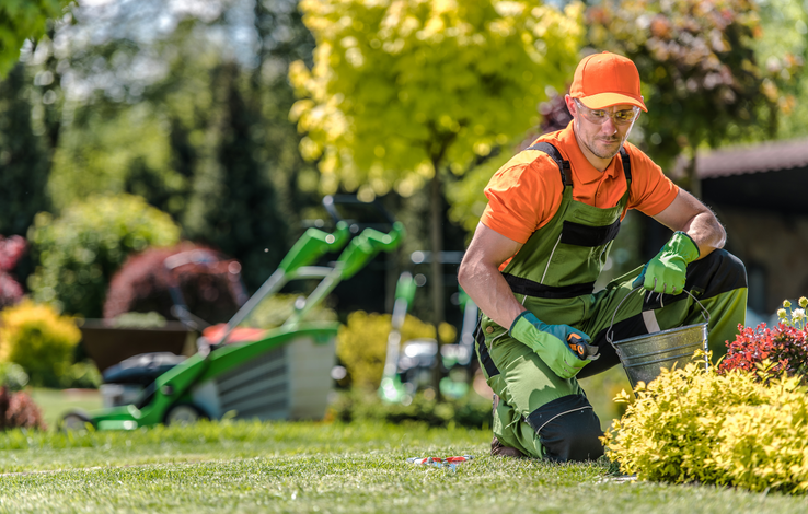 How a Landscaping Company Maximizes Your Garden's Lifespan