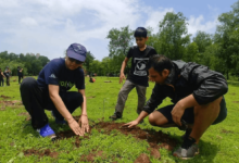 Maintaining Biodiversity in Urban Gardens