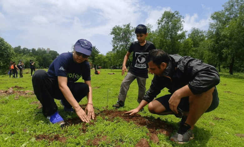 Maintaining Biodiversity in Urban Gardens