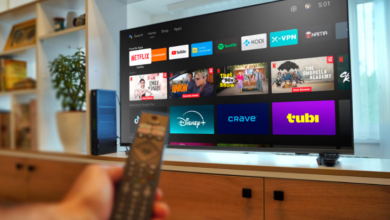 Netflix Mod APK – Features and Everything You Should Know (Android & iOS)
