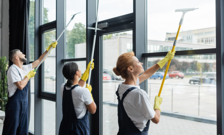 Transforming Your Business Image with Professional Commercial Window Cleaning Services