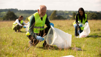 How Efficient Waste Management Reduces Costs and Environmental Impact
