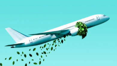 Avin International LTD: Sailing Toward Zero Emissions – Our Green Initiatives