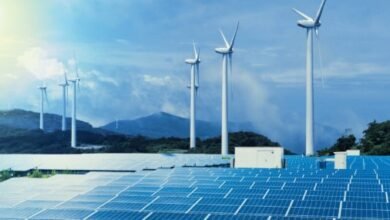 Solar–Wind Solutions