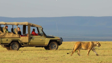 Top 6 Things to Do on Holidays to Kenya