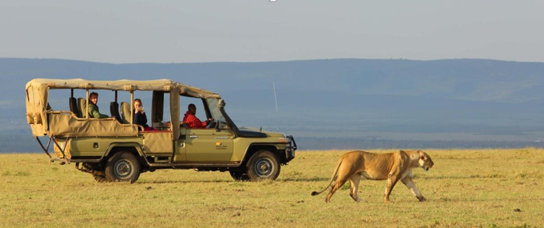 Top 6 Things to Do on Holidays to Kenya