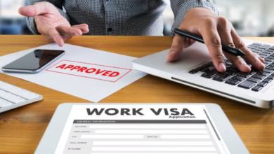 European Work Visa 101: Everything You Need to Know
