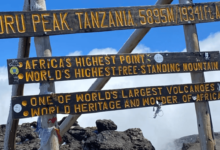 The Logic of Elevation: What Kilimanjaro Teaches About Building Systems That Last