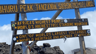 The Logic of Elevation: What Kilimanjaro Teaches About Building Systems That Last