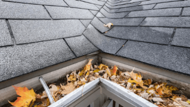 The Impact of Blocked Gutters on Roof and Foundation Health
