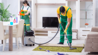 What’s Included in a Professional Regular Cleaning Visit?