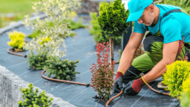 Common Garden Maintenance Mistakes