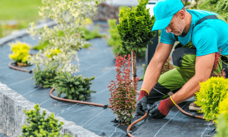 Common Garden Maintenance Mistakes