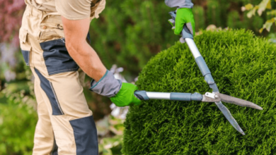 Tools of the Trade: What the Pros Use for Crisp Hedge Lines
