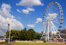 Top 3 Brisbane Travel Attractions Tourists Love