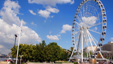Top 3 Brisbane Travel Attractions Tourists Love