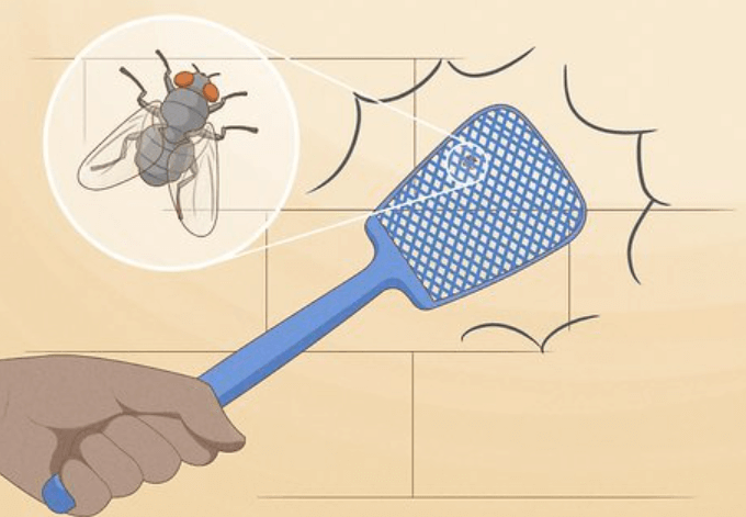 Effective Ways to Prevent and Control Fly Infestations in Your Home