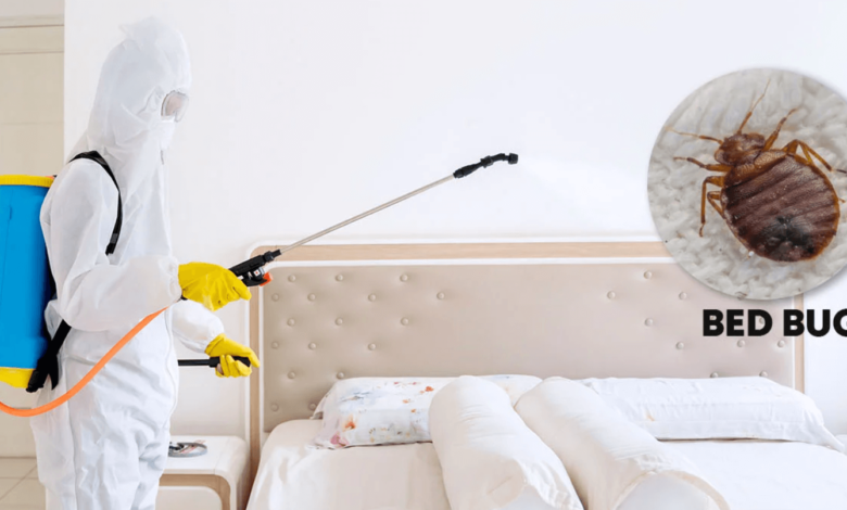 How Heat Treatment Works for Bed Bug Removal