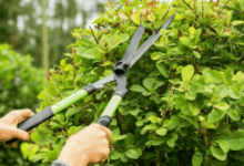 The Best Blade Angles and Patterns for Precision Hedge Cutting