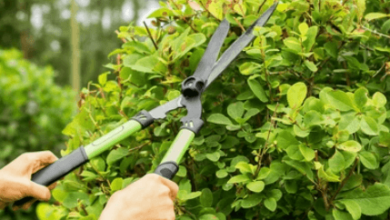 The Best Blade Angles and Patterns for Precision Hedge Cutting