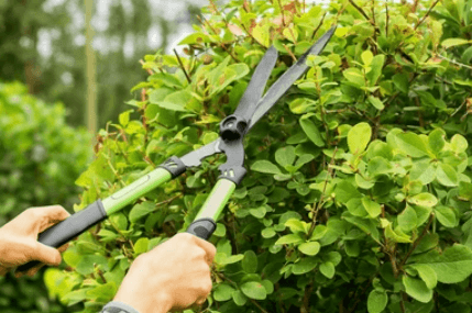 The Best Blade Angles and Patterns for Precision Hedge Cutting