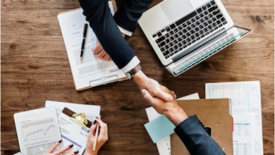 What is the Entrepreneur Stream under the National Innovation Visa?