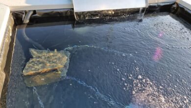 Discover the Waterfall Blade: Revolutionize How You Clear Standing Water