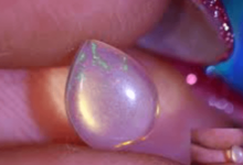Sparkling Wonders: Unveiling the Magic of Opal Auctions