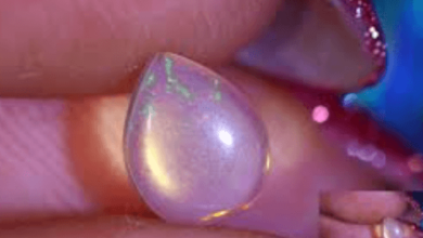 Sparkling Wonders: Unveiling the Magic of Opal Auctions