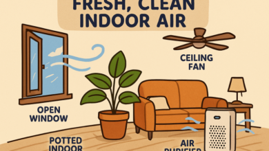 Simple Ways to Improve Indoor Air Quality and Efficiency