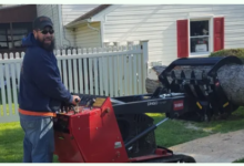 A Complete Guide To Safe Tree Removal: Planning, Precautions, And Professional Support