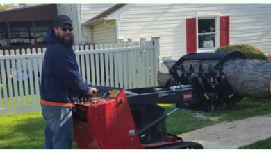 A Complete Guide To Safe Tree Removal: Planning, Precautions, And Professional Support