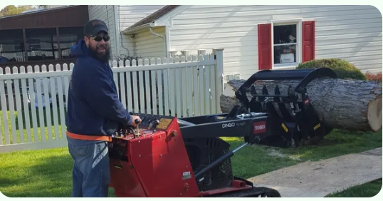 A Complete Guide To Safe Tree Removal: Planning, Precautions, And Professional Support