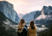 Choosing the Ideal Companion for Every Journey