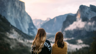 Choosing the Ideal Companion for Every Journey