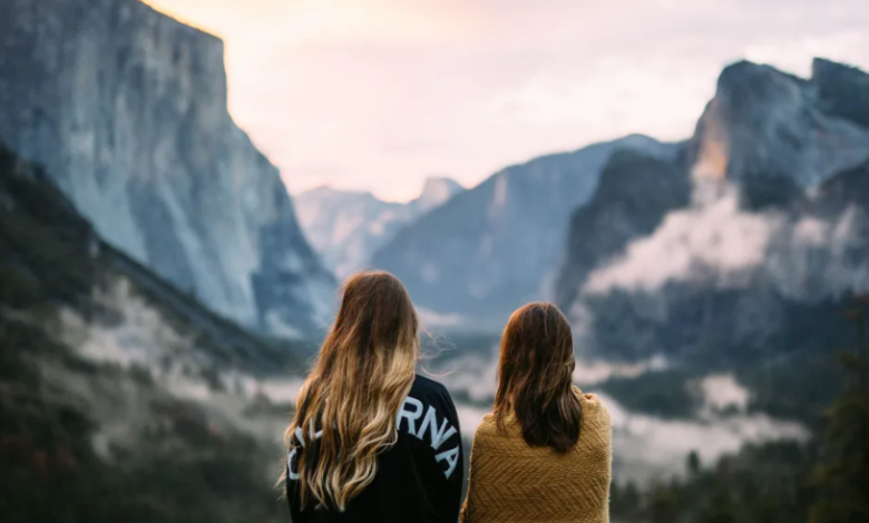 Choosing the Ideal Companion for Every Journey