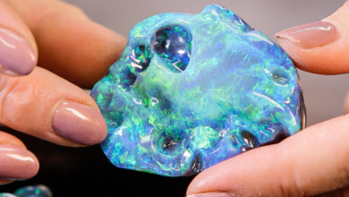The Allure of Black Opal: A Gemstone of Mystique and Elegance