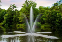 Water Feature Trends That Are Shaping Outdoor Spaces Now