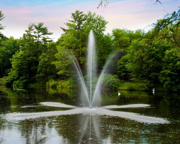 Water Feature Trends That Are Shaping Outdoor Spaces Now