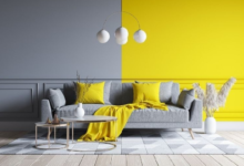 Distemper vs Emulsion Explained: Making the Right Choice